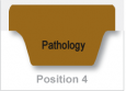 Pathology (Brown)